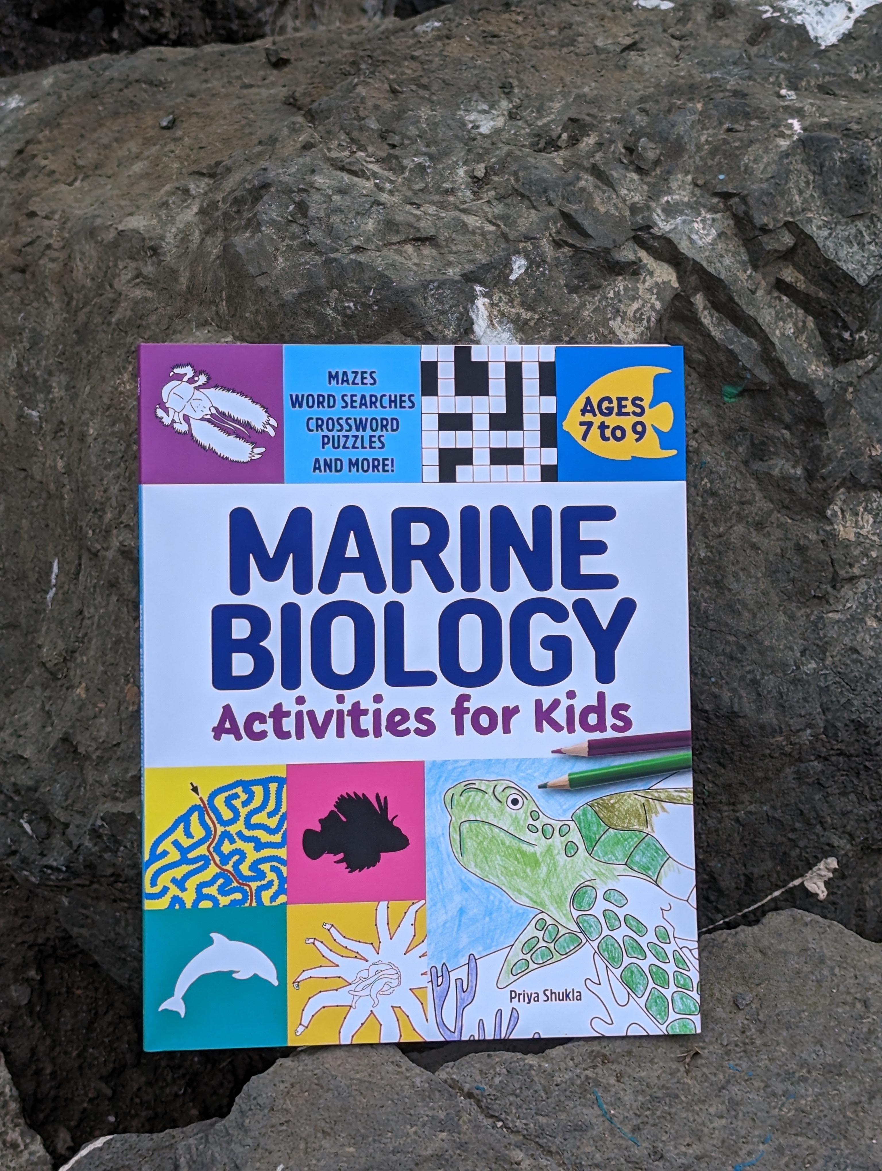 Marine Biology Activities sitting on a rock