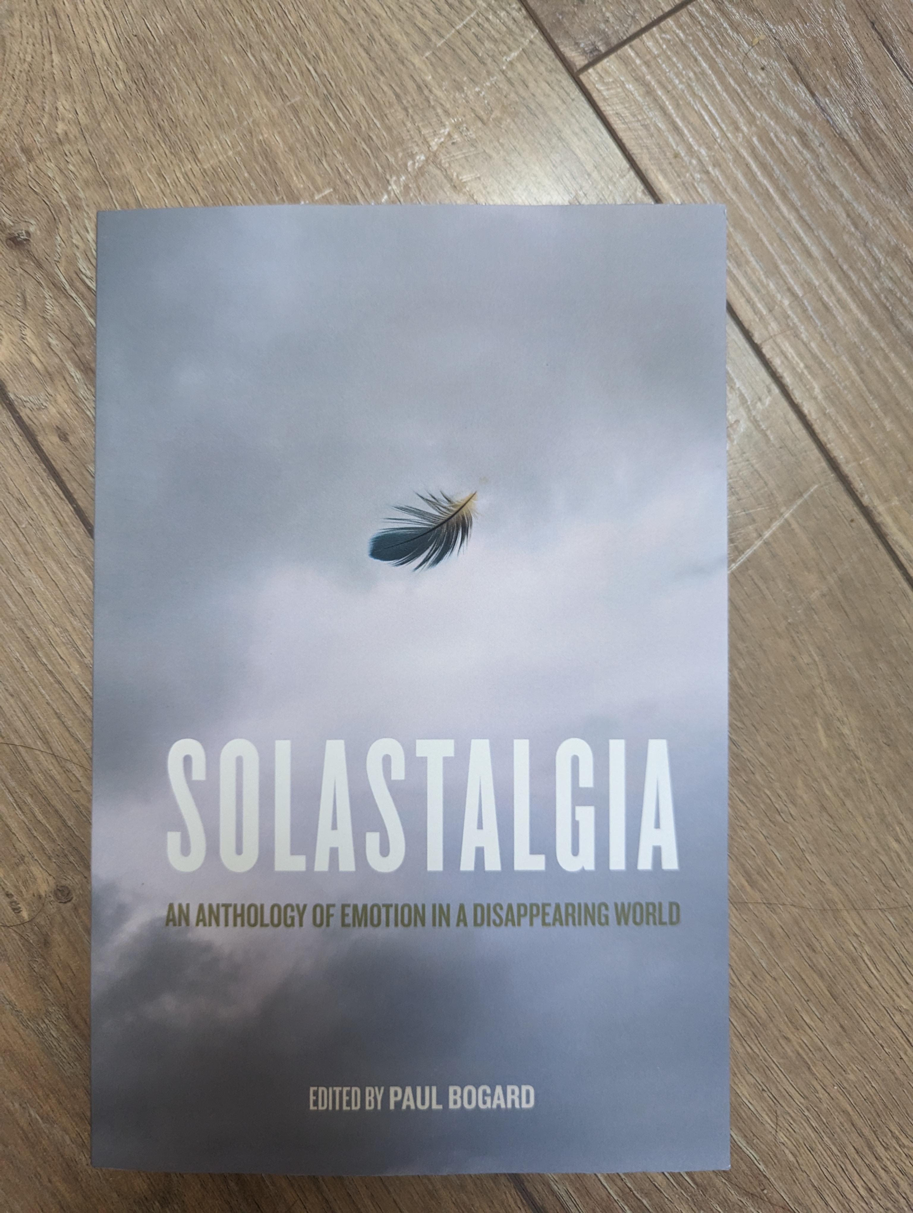 Solastalgia Book Cover with wood panel background